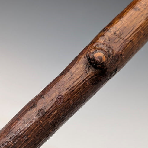 英国ヴィンテージ ナチュラルブラウンシャフト バードヘッドハンドル ステッキ 杖 89cm